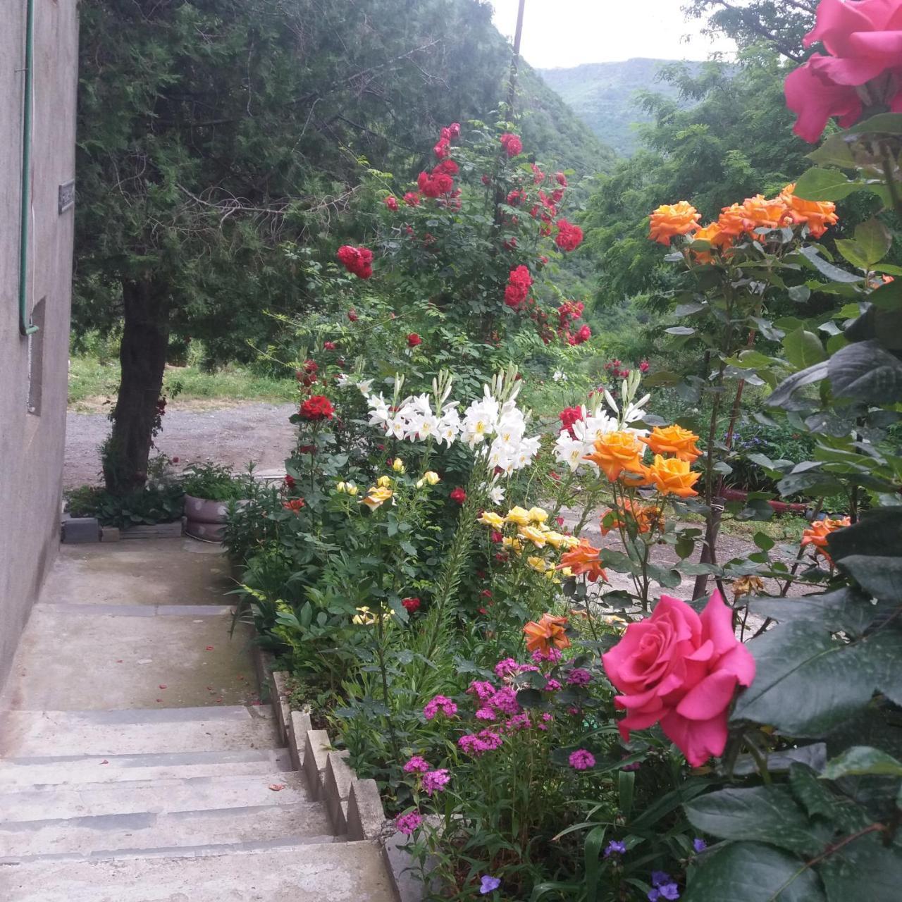 Iris B&B In Debed Canyon อาลาแวร์ดิ ภายนอก รูปภาพ